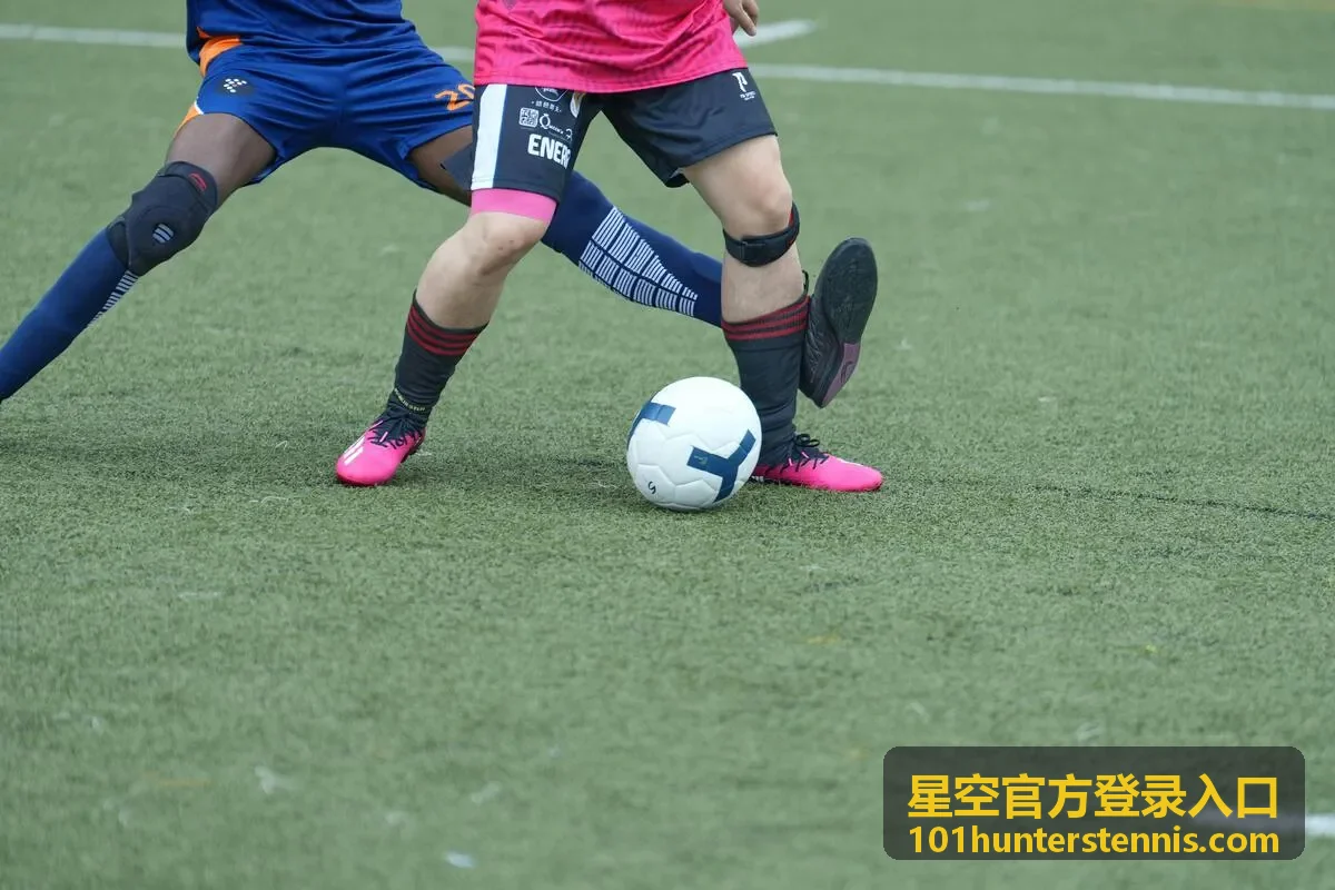 星空官方登录入口最新信息封面