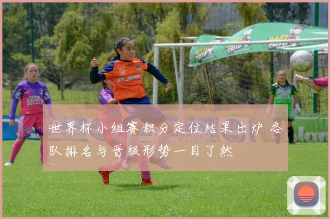 世界杯小组赛积分定位结果出炉 各队排名与晋级形势一目了然